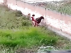 Kuce, sniedzot cu par avenida brasil