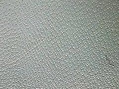 Aplūkojot #01 sporta